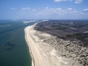 photo aérienne de la foret de la Teste de Buch après les incendies