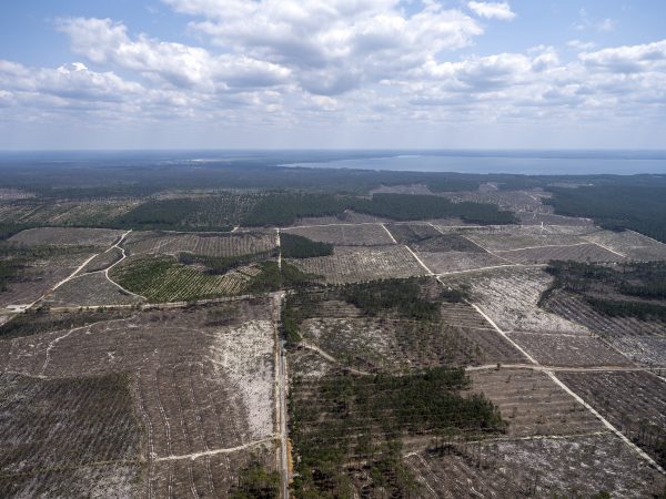 photo aérienne de la foret de la Teste de Buch après les incendies