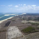 photo aérienne de la foret de la Teste de Buch après les incendies