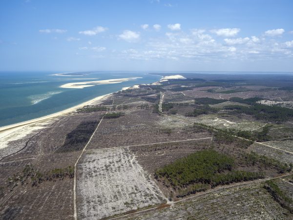 photo aérienne de la foret de la Teste de Buch après les incendies