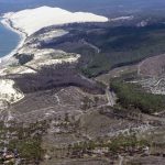 photo aérienne de la foret de la Teste de Buch après les incendies