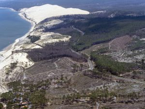 photo aérienne de la foret de la Teste de Buch après les incendies