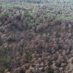 photo aérienne de la foret de la Teste de Buch après les incendies