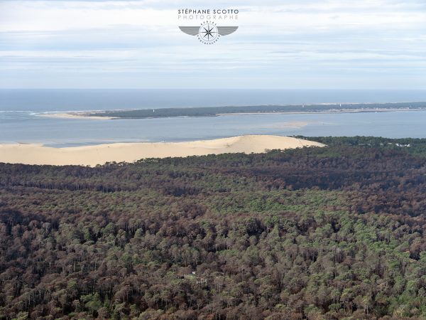 photo aérienne de la foret de la Teste de Buch après les incendies