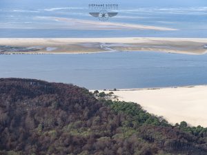 photo aérienne de la foret de la Teste de Buch après les incendies