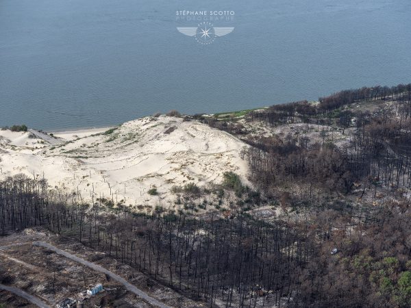 photo aérienne de la foret de la Teste de Buch après les incendies