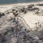 photo aérienne de la foret de la Teste de Buch après les incendies