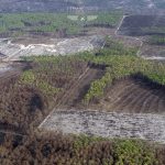 photo aérienne de la foret de la Teste de Buch après les incendies