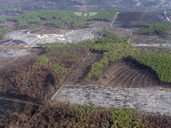 photo aérienne de la foret de la Teste de Buch après les incendies