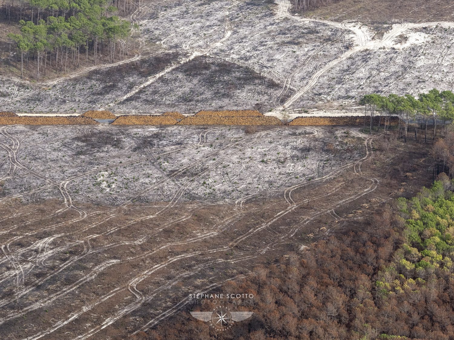 photo aérienne de la foret de la Teste de Buch après les incendies