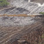 photo aérienne de la foret de la Teste de Buch après les incendies