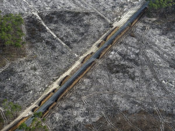 photo aérienne de la foret de la Teste de Buch après les incendies