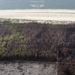 photo aérienne de la foret de la Teste de Buch après les incendies