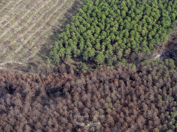 photo aérienne de la foret de la Teste de Buch après les incendies