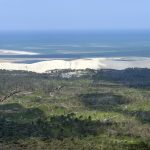 photo aérienne de la foret de la Teste de Buch après les incendies