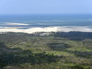 photo aérienne de la foret de la Teste de Buch après les incendies