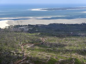 photo aérienne de la foret de la Teste de Buch après les incendies