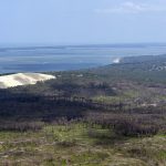photo aérienne de la foret de la Teste de Buch après les incendies