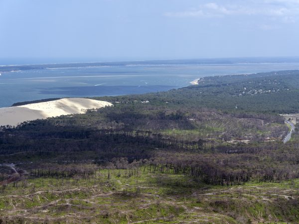 photo aérienne de la foret de la Teste de Buch après les incendies