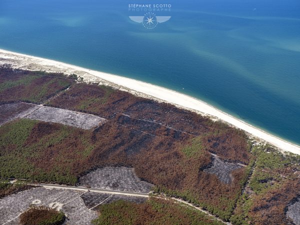 photo aérienne des incendies de la forêt de la Teste de Buch