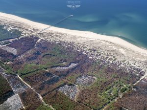 photo aérienne des incendies de la forêt de la Teste de Buch
