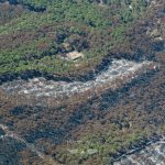 photo aérienne des incendies de la forêt de la Teste de Buch