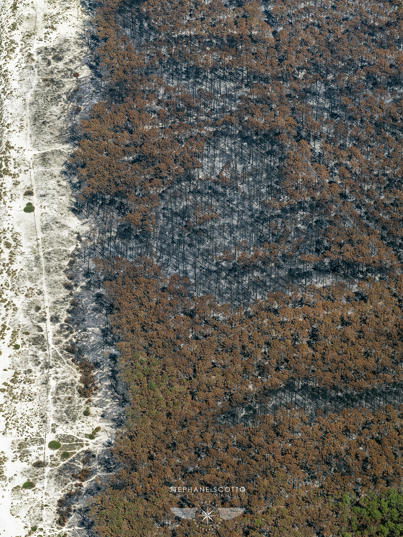 photo aérienne des incendies de la forêt de la Teste de Buch