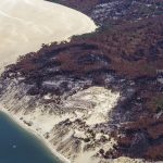 photo aérienne des incendies de la forêt de la Teste de Buch