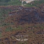 photo aérienne des incendies de la forêt de la Teste de Buch