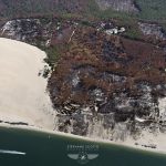 photo aérienne des incendies de la forêt de la Teste de Buch