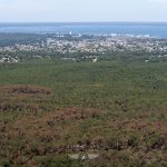 photo aérienne des incendies de la forêt de la Teste de Buch