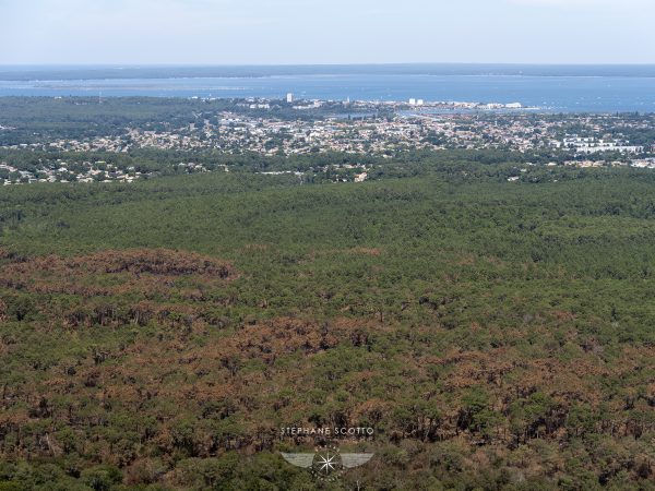 photo aérienne des incendies de la forêt de la Teste de Buch