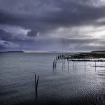 photo du Cap Ferret, Bassin d'Arcachon