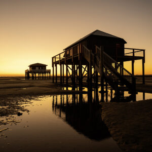 les cabanes tchanquees en 2025 éclairée par la golden hour